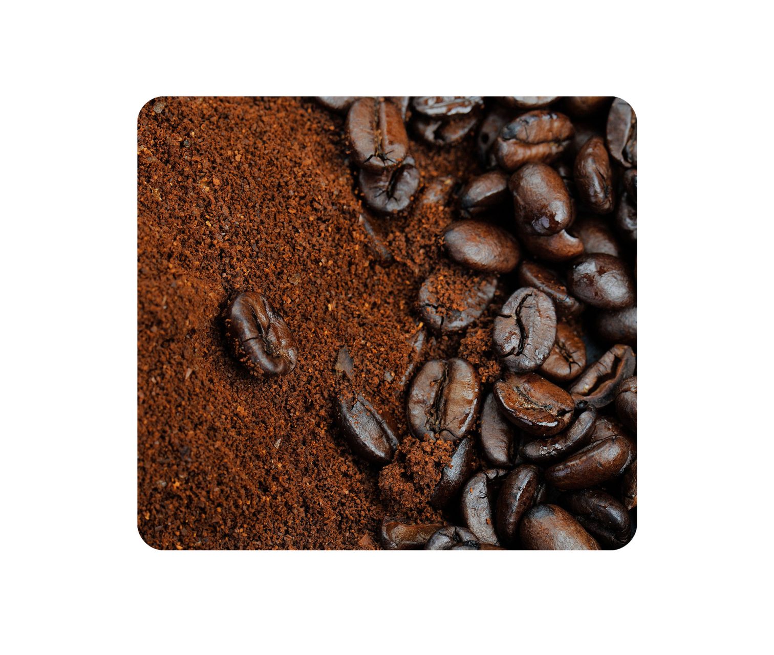 Grano de Oro café de Nicaragua - Café en grano o molido conCAFÉ